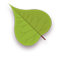 Leaf Green-64